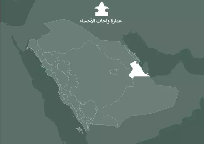 الموجهات التصميمية