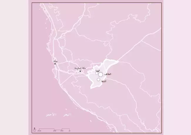 خرائط توزيع الأنماط المعمارية