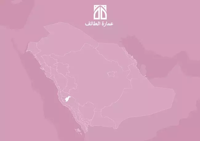 الموجهات التصميمية