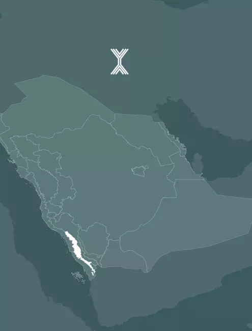 الدليل التطبيقي - المباني منخفضة الارتفاع سفوح تهامة